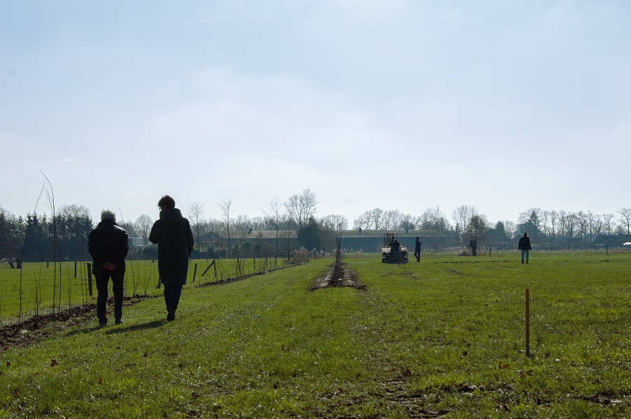Aan de slag met Agroforestry: meer boeren integreren bomen en struiken op hun bedrijf