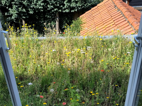 Duurzame Daken: Van groene oases tot energie-opslag