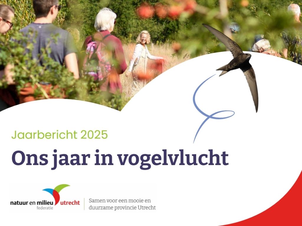 Lees ons jaarbericht 2025