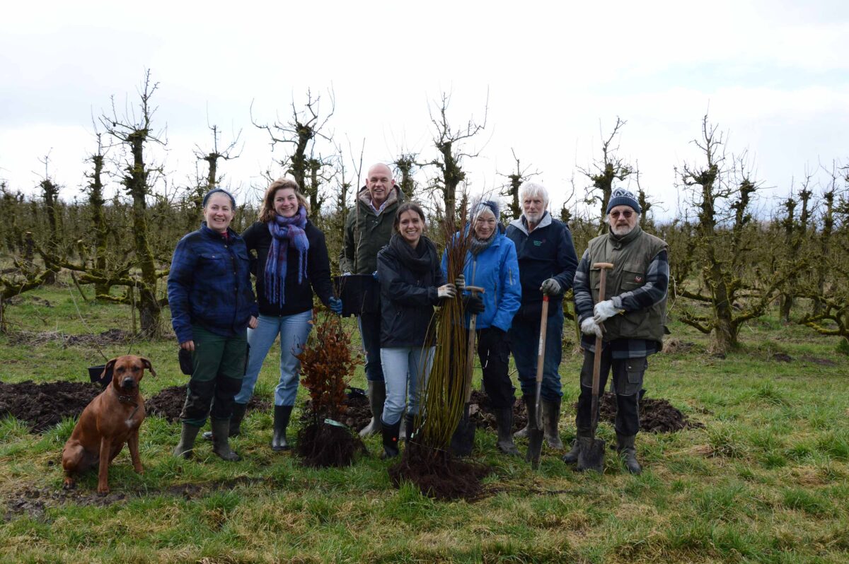 Volgende generatie innoveert met agroforestry op Fruitbedrijf van Dijk in Wijk bij Duurstede