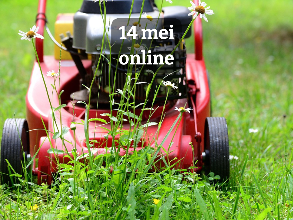 Webinar: Maaien in bloeitijd? Zo werkt groenbeheer in jouw buurt