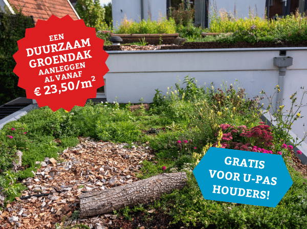 We hebben weer een duurzame daken inkoopactie voor inwoners van de gemeente Utrecht