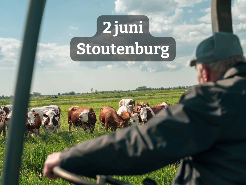 Kleine Landschapselementen in de melkveehouderij | voor agrariërs