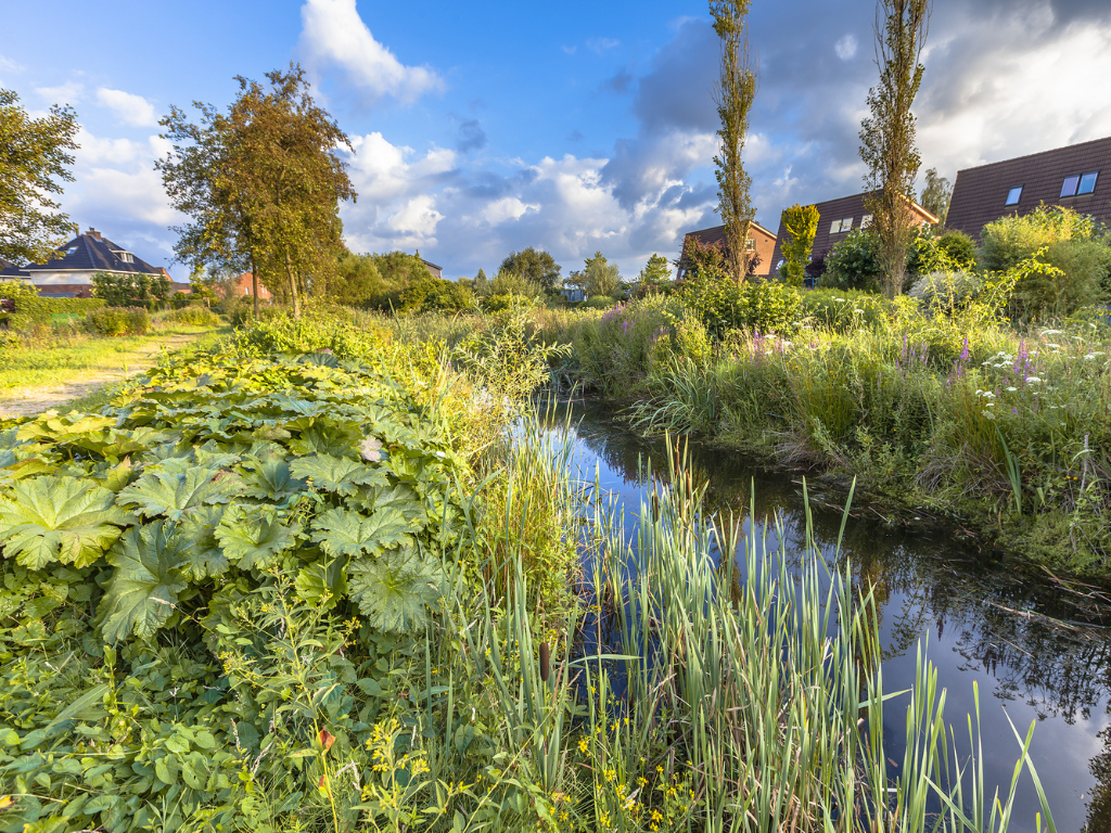 Nieuwe webapp SoortenKijker: thermometer voor de natuur in je eigen buurt