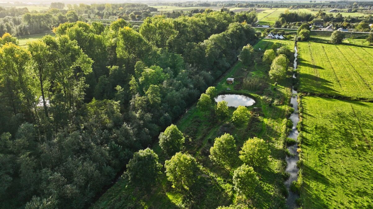 Open Voedselbossendag 2025: voedselbossen in provincie Utrecht open voor publiek