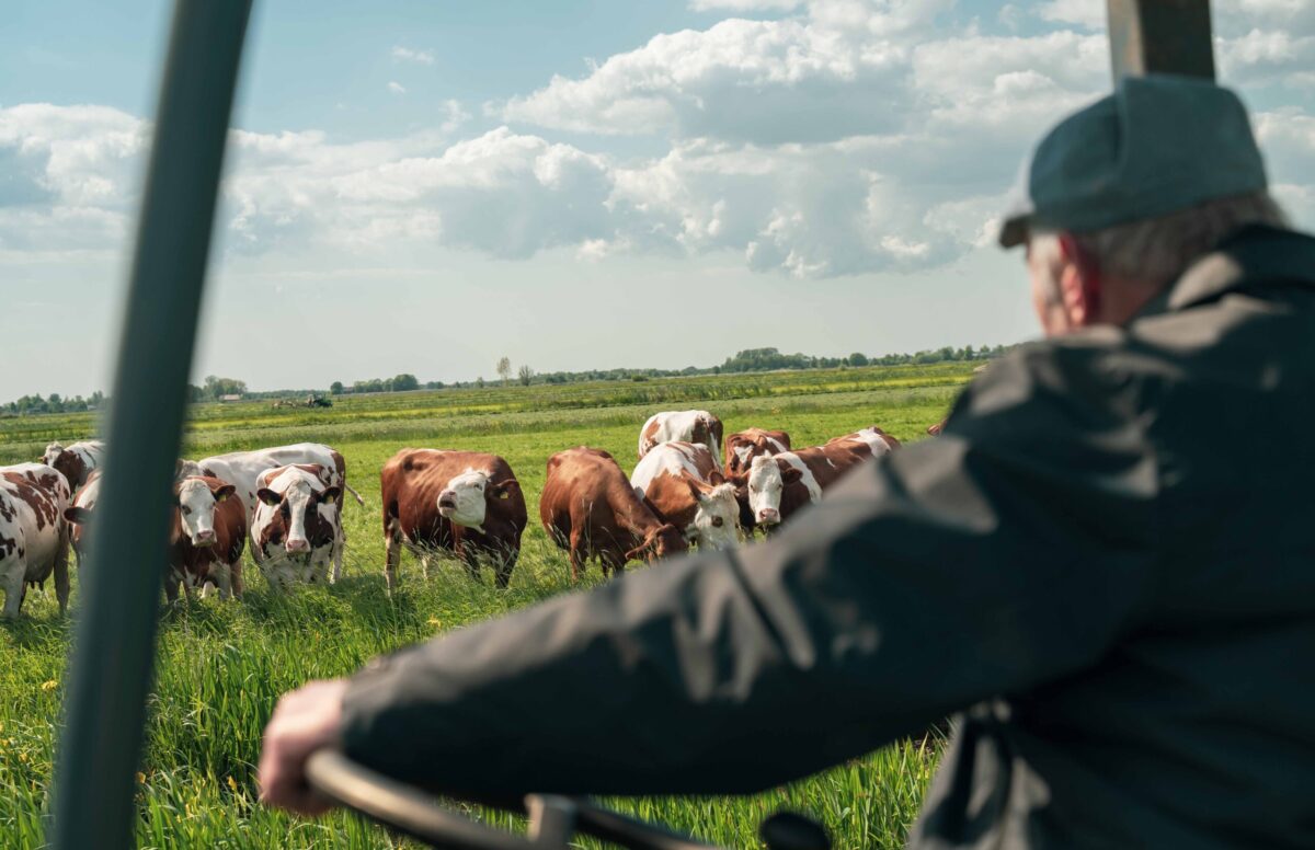 Netwerk Groene Boeren: Samen zichtbaar, samen sterker