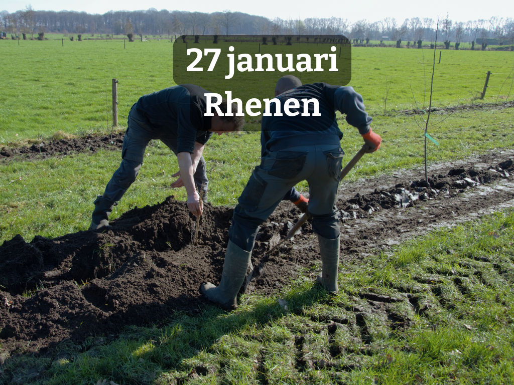 Workshop: Hoe past agroforestry in jouw gemeente? | voor gemeenteambtenaren