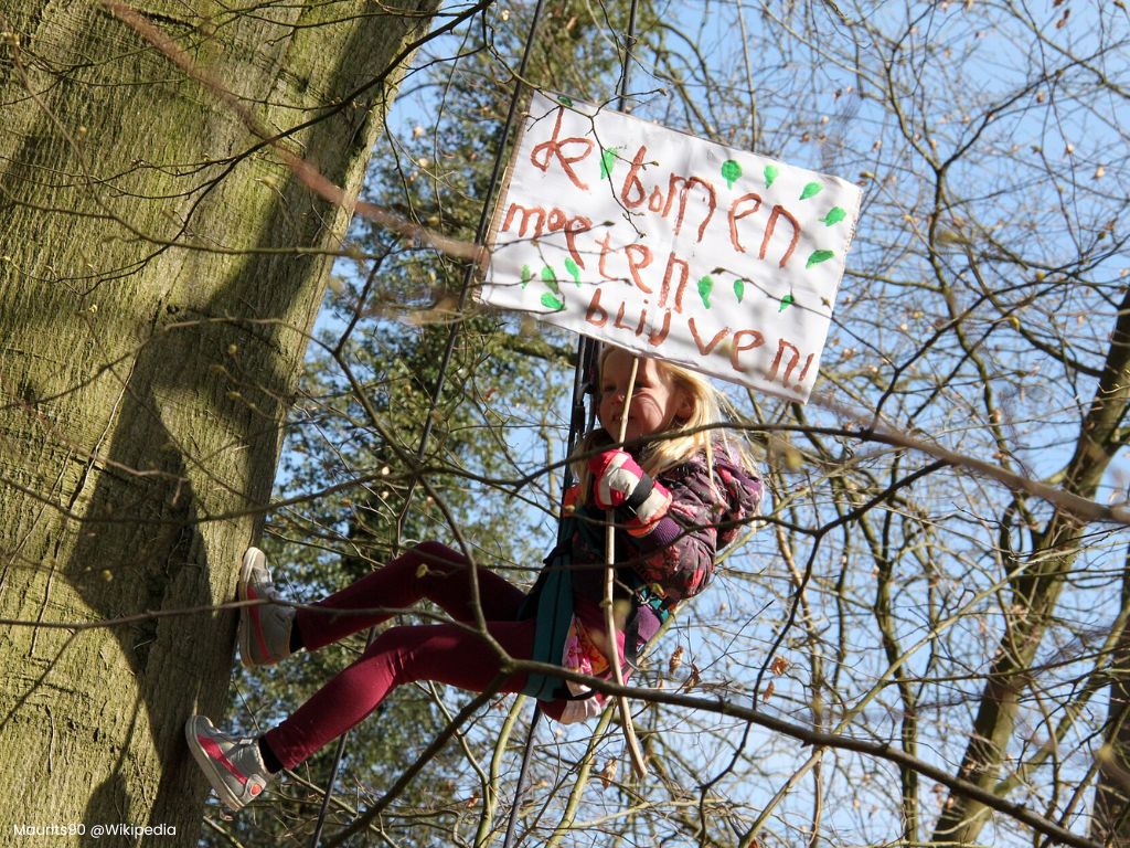 Toch geen verbreding van A27 bij Amelisweerd
