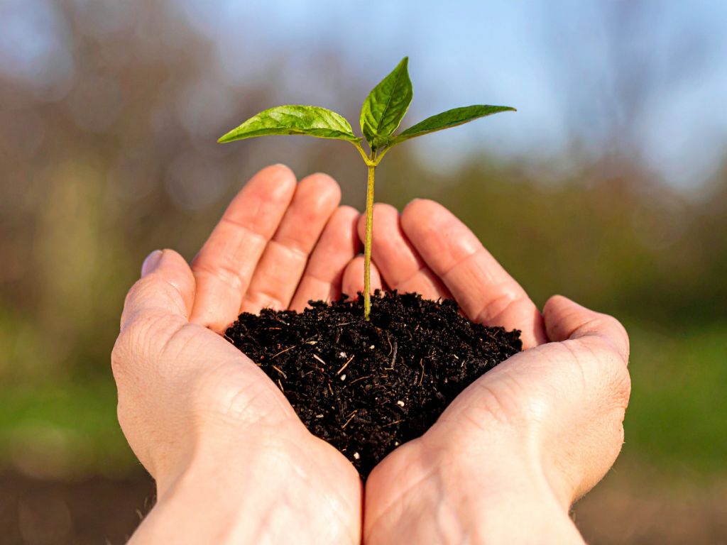 Column: Stem 18 maart op een groene kandidaat