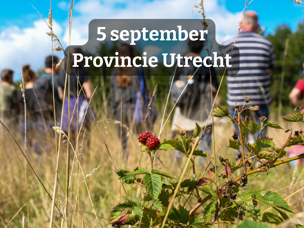 Open Voedselbossendag 2026 | voor voedselbossen