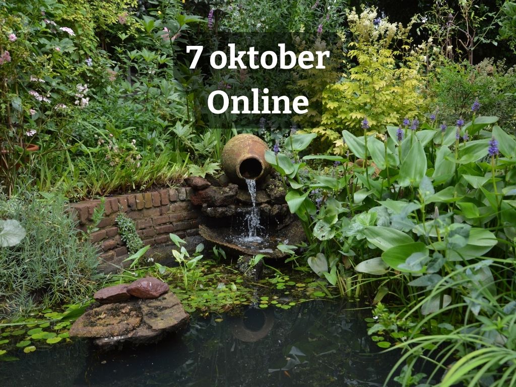 Webinar: van droge zomer naar toekomstbestendige Heuvelrugtuin