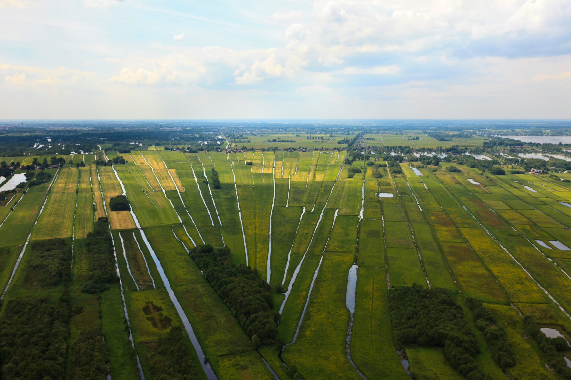 Natuur en Milieufederatie Utrecht