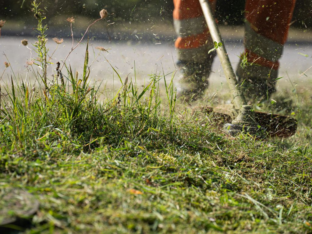 Zomerblog Isabel: Minder maaien, is dat altijd beter voor de natuur?