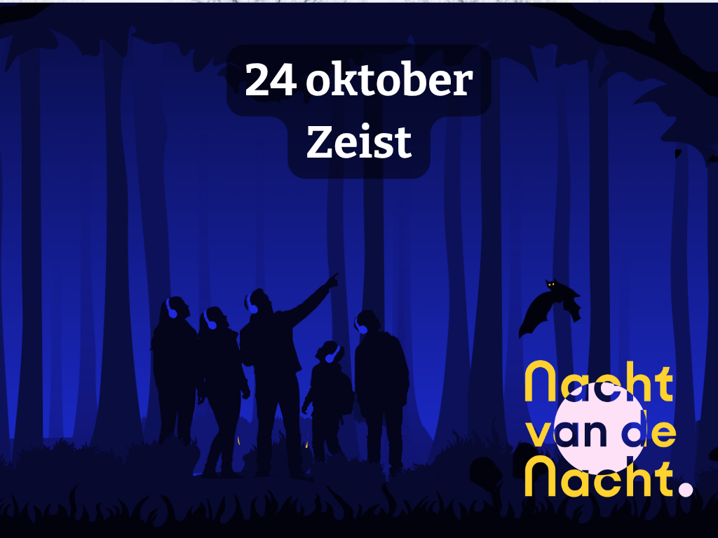 Nachtdiersymfonie